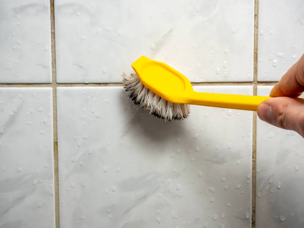 Best Mold Testing  in Cross Plains, TX