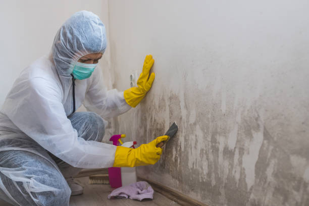 Best Crawl Space Mold Removal  in Cross Plains, TX