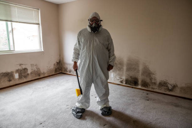 Best Mold Remediation  in Cross Plains, TX